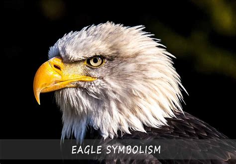 Discover the hidden meanings behind The Eagles' 